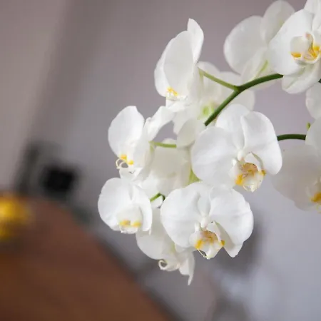 Atico De Ensueno En El Corazon De Wifi Ac Apartmán Sevilla